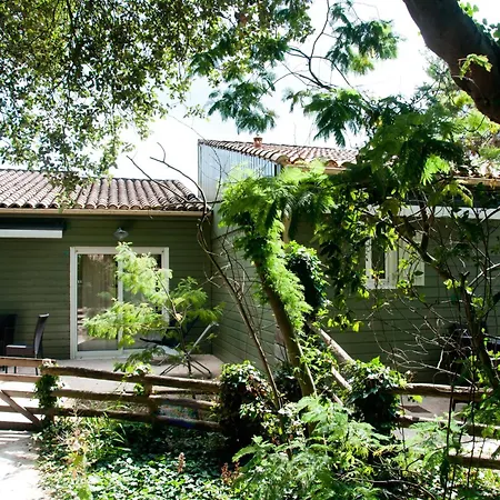 Le Bois Martin サン・マルタン・ド・レ